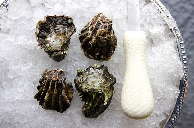 Kumamoto Oyster — Oysterology Online Pangea Shellfish Company